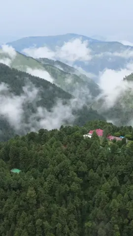 What I see vs What my drone sees  #nathiagali #murree #murreehills #galyaat_nature_beauty #traveltiktok #travellife #nathiagali_road #rain #rainambience #pakistanzindabad #clouds #dronevideo #tourismpakistan #foryou #explore 