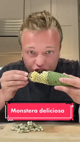 Would you try this fruit?!#fyp #foryoupage #monsteradeliciosa #monsteradeliciosafruit #tropicalfruit #exoticfruit 