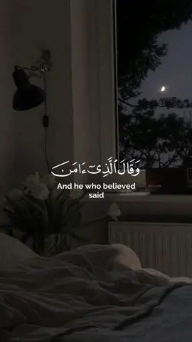 القارئ علي عبدالسلام✨🤍  #سورة_غافر #قران_كريم_Quran_ارح_سمعك_وقلبك_حالات_واتساب #القارئ_علي_عبدالسلام #وَقَالَ_الَّذِي_آمَنَ_يَا_قَوْمِ_اتَّبِعُونِ_أَهْدِكُمْ_سَبِيلَ الرَّشَادِ 