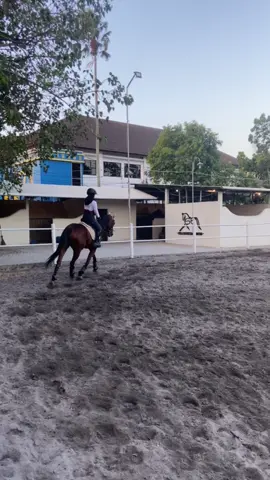 🐎 #fyp #fypシ #solo #ridinghorse #ridinggirl #ridingschool #horsegirl #darkhorse #horse #horseriding #berkuda #berkudaindonesia 