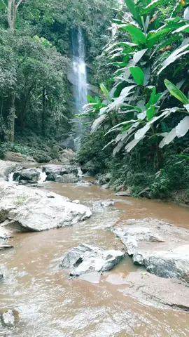 #อัพเดตปริมาณน้ำที่น้ำตกหมอกฟ้า #น้ำตกหมอกฟ้า​ #น้ำตกหมอกฟ้าแม่แตง​ #น้ำตกหมอกฟ้าเชียงใหม่ #น้ำตกสวยเชียงใหม่​ #ที่เที่ยวเชียงใหม่