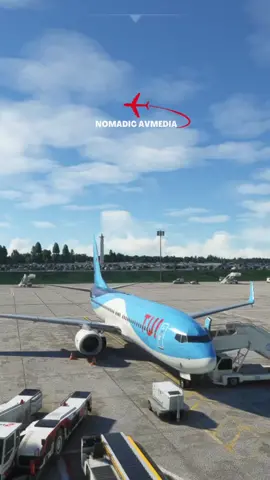 Il call this video GLIDE SLOPE! 🤦🏼‍♂️ Watch until the end #msfs #nomadicavmedia #tui #flightsim 