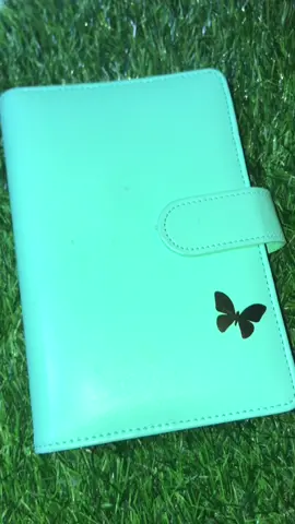 Get yours now.🤍  #a6budgetbinder #a6organizer #moneyorganizer #iponchallenge #tiktokaffiliate #fyp 