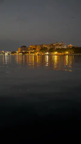 City Palace Views At Night ✨ . . 📍Lake Pichola  🇮🇳 Udaipur, India . . IG: @explorewithsush  . . #india #rajasthan #udaipur #nightviews #citypalace #boatride #lakepichola #tourism #indiantourism #touristactivities #travelindia #india2023 #travel #padharo_mahare_udaipur #lakeviews  #iphone14videography  #summer2023 #explore #adventures #kannadahudugi