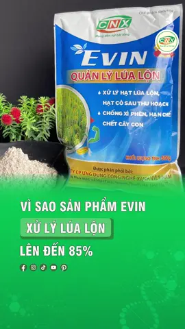 xử lý lúa lộn #nongnghiep #congnghexanh #lúa #lúa🌾 #nongnghiepvietnam 
