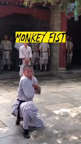 Shaolin Monkey Fist#kungfu #shaolin #chinesemartialart #monkeyfist #fyp #tiktok 