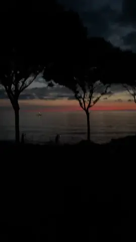 #sea #night #fypシ #viral #explore 
