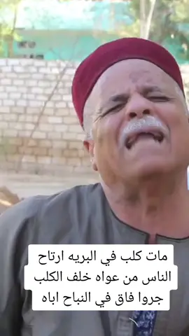 مات كلب في البريه ارتاح الناس من عواه خلف الملعون جروان فاق في النباح اباه  #قلب_الصعيد_سوهاج_بالتحديد #صعيدي_والراس_مرفوعه_ياخال #ضد_مخالفة_قوانين_الصعيد #حفيد_العمده #حمدي_هريدي #صحفي_صعيدي 