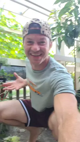 loving this beautiful weather, and dancing in my garden...Happy Saturday!!!  here's a little dance stroll through...hope y'all are having a great summer! #fyp #dancinggardener #happysaturday #growsomethinggreen  #itteachesyou #watersunpositivevibes #Love #jesus