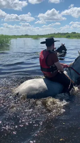 donde la mente descansa, pero el cuerpo se cansa #campoargentino #campo #caballos #argentina🇦🇷 #fypシ 