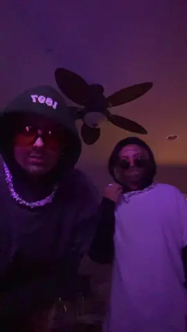 post malone and pitbull