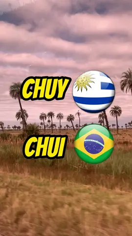 El fin de semana visitamos el chuy, para aquellos que no la conocen, es una ciudad fronteriza separada de la brasileña ciudad de Chuí, por una calle compartida entre ambas ciudades, la llamada 