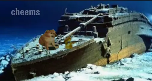 titianic #titanic#meme#cheems#bom#xuhuong#fyp#viral #CapCut 