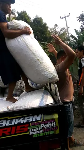 Pala balap