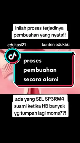 pasti banyak yg mengira kalau HB SP3RM4 suami tumpah itu normal!!?#edukasi #menstruasi #programhamil #pypシ #kesuburanwanita #pembuahan #pejuanggarisdua #kesuburanpria 