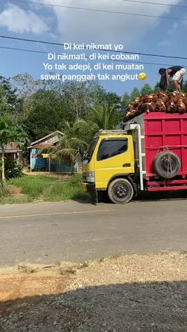 Panggah taser nu😂🤣#driverjambi #truksumatra #truksawitjambi 