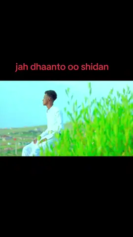 #dhaanto cusub oo shidan weeye mcn daawasho wanaagasn #abwaan nuur goosar  #