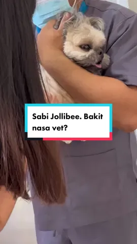 Scam din ba nanay niyo? Sabi jollibee pero dinala sa vet 😡 #dogphilippines #dogsoftiktok #shihtzusoftiktok #shihtzuphilippines #vet #funnydog 