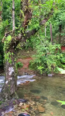 📍Bendungan Madi #kalimantanbarat #bengkayang 
