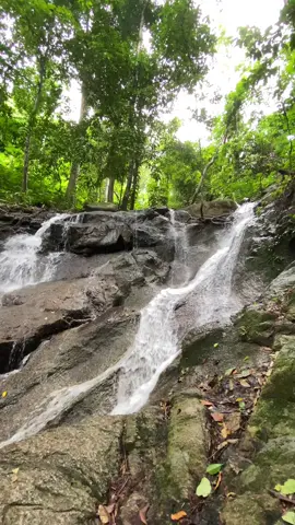ကထူးရေတံခွန် kathu waterfall #waterfall #phuket #thailand 