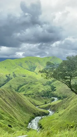 Life hurts, nature heals 🌳 #fypシ #foryoupage #naturevibes #naturelover #bukidnon #impasugongbukidnon🇵🇭 