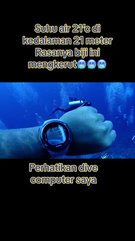 Cobalah menyelam di nusa penida di bulan juli-september dan rasakan sensasi nya