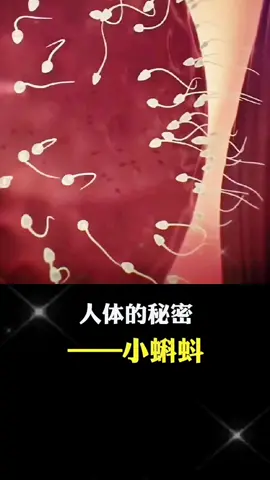 #科普知识 #健康科普#科普达人#科普#科普小知識  原来我们都是最优秀的。