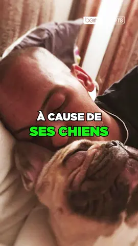 🤯 Le transfert de #Fabinho en Arabie Saoudite pourrait capoter à cause... De ses chiens ! #Liverpool #Football #WTF #beINSPORTS