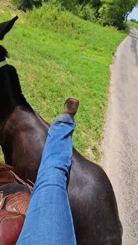 Ol Thrasher is coming along nicely. He turned a year old in June. Don't be bitching about my saddle 🤣 I'm oiling her up today, we got wet a few weeks ago and I've not done it yet. 