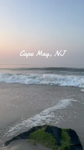 While in Cape May, NJ 🐬🌺 #couplestrip #beachtrip #vacation #beaches 