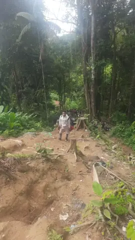 La primera loma y más larga🥵🥵 #lomas #darien #selva #selvadeldarien #colombia #venezuela #excursion #naturaleza #paisajeselvatico💚 #subida 