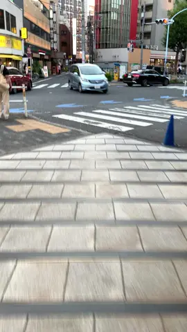カーチェイスか？ 固くらに逃げる車笑笑 #新宿　#歌舞伎町　#警察24時