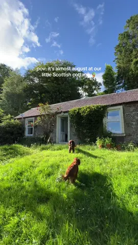 anyone else starting to get a little bit excited for autumn already 🫣🍂🥨🧶🪵🍁🦦