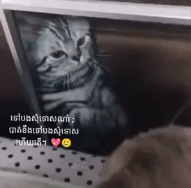 យល់អារម្មន៍បងខ្លះផង ; 💖🥲#som🤍mnak_muy_mk🥺 