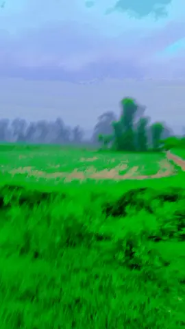 #fypシ゚viral #fypシ゚viral🖤tiktok #viraltiktok #greenscreen #account #🥰🥰🥰🥰❤️❤️❤️ 