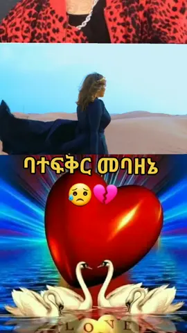#የኔ➻ፍቅር➻♥🦋🥀🔐 #የኔንጉስ👑❤ #የኔ_አለም🌏🥀🦋🥀 #ፍቅ #ፍቅርያሸንፋል #ፍቅር💓ብቻ🥀🦋🥀🕊️🔐 
