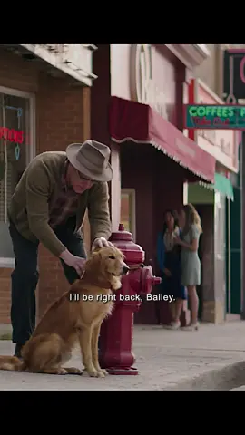 A dogs purpose(2017) #adogspurpose #bailey #dog #movie #fyp #tiktok #film 