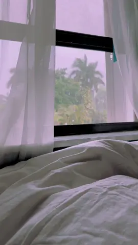 Rainy morning in bed 🤍 #soundofrain #rain #lluvia 