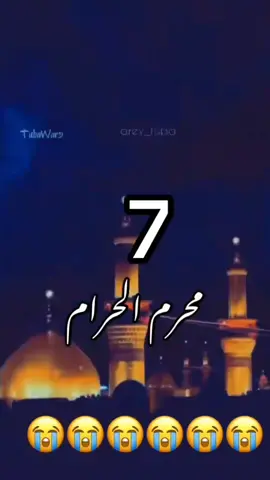 #duet with @🦅قطب شاہی اعوان 🦅 #7muharram_mehndi_shehzada_e_qasim 