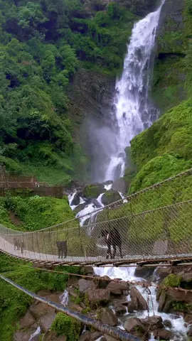 Pokali waterfall okhaldhunga .! #okhaldhunga_muser#nepal #waterfall #kathmandu #nepalitiktok 