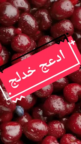 ادعج خدلج ميحد حمد #ادعج_خدلج #طير_الحمامي #ميحد_حمد #بدون_موسيقى #fyp 