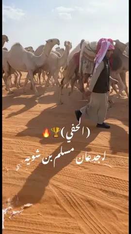 #العرينات#لاد_العريني#بني_عمر#شويه#الحسي #سلطانه#الجدعانيه#رماح#سبيع_الغلبا #هوازن_العظمى#رنيه_الخرمه_رماح #هوازن_السهول_سبيع_عتيبه#نجد_العذيه #هوازن#بني_هلال_بن_عامر#الخضران  #بن_شويه #الصمان#الدهناء#العارض#اكسبلورexplore #نادي_الابل #مهرجان_الملك_عبدالعزيز_لمزاين_الابل7 #البدو #الشعب_الصيني_ماله_حل😂😂 #الحفي#الحفياء#قنايد_الشقح_قنايد#الموت_الحمر #النايلات#لطامات #الزعيمات