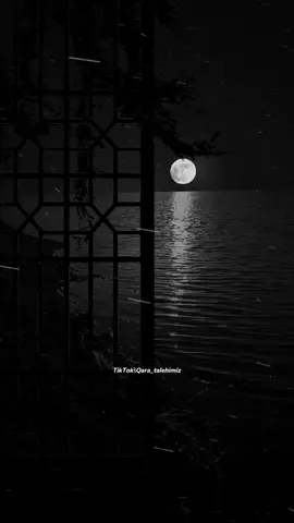 #qaratalehimiz #keşfet / Mən səni gördüm Ay işığında 🎶...🖤