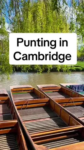 Row, row, row your punt gently down the Cam! 🚣‍♀️😍  Had an incredible time punting in Cambridge! It was lovely to see the stunning views and historic colleges from the water. 💦  Our guides were amazing, sharing fascinating historical tidbits and hilarious anecdotes along the way. We learnt so many facts and stories about Cambridge. They also showed us some of the most iconic sights including: ✨ King’s College Chapel ✨ The Backs ✨ Trinity College ✨ Wren Library ✨ Bridge of Sighs If you’re looking for a unique way to experience the charm of Cambridge, punting is definitely the way to go! 🌟 #puntingincambridge #cambridgeuk #punting #puntingcambridge  #cambridge #cambridgeshire 