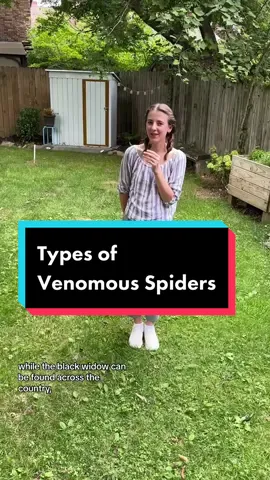 If you are bitten by a black widow or brown recluse spider, seek medical care ASAP! #VenomousSpiders #SpiderTok #SafetyTips #WhatToDo #ThingsYouShouldKnow #LearnOnTikTok