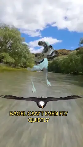 Bagel’s something, alright. #foryou #dog #foryoupage #dogsoftiktoktiktok #CapCut  