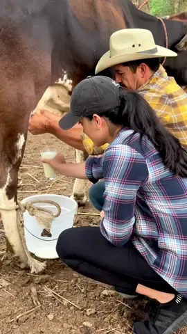 I'm not afraid of cows anymore 😅 #milking #milkacow #cow #rancho #latinosbelike #leche #vacas #vacas  #ordeñando #ordeñandolavaca 
