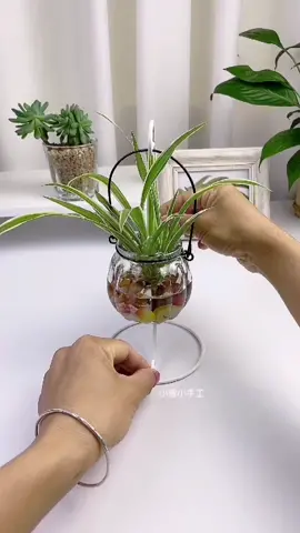 Chậu cây để bàn siêu xinh siêu rẻ🌿☘️ #decorxinh #chaucaymini #chaucaycanh #chaucaythuysinh #trangtrinhacua #fypシ゚viral #decorcuasen #decor #decorphong #decorphongtro #trangtribanhoc #caycanh 