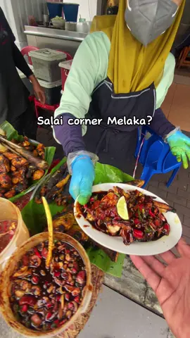 Port makan tenghari di melaka, yang penting pedas dia nak lagi ya 🥵 #MakanLokal #foodfestontiktok 