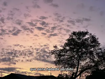 Como me dolió perderte 🕊️💔 #sad #triste #descansaenpaz #🕊️ 